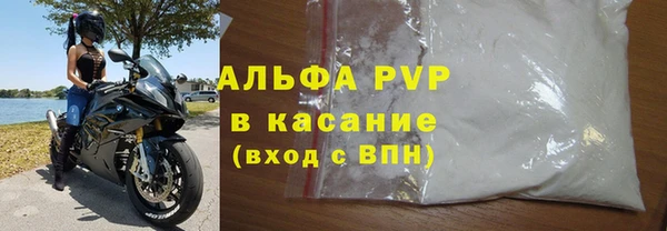 прущие грибы Покачи