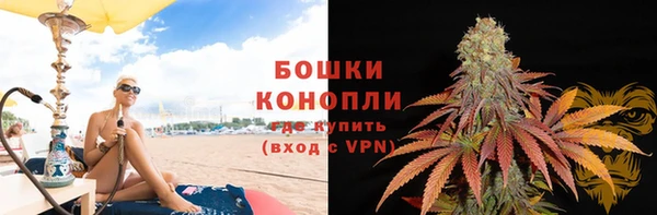 прущие грибы Покачи