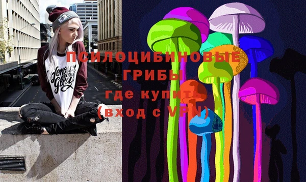 прущие грибы Покачи