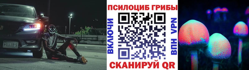 Псилоцибиновые грибы MAGIC MUSHROOMS  где купить наркоту  Сорочинск 
