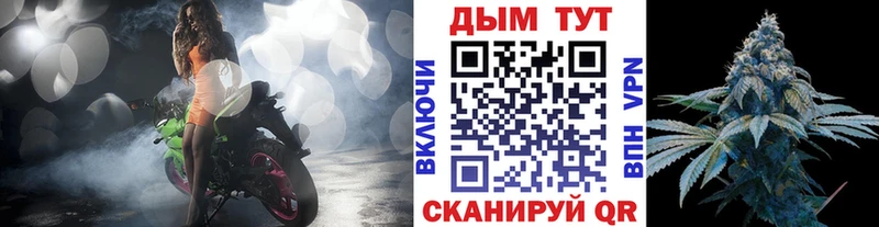 Каннабис SATIVA & INDICA  Сорочинск 